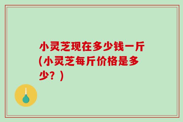 小灵芝现在多少钱一斤(小灵芝每斤价格是多少？)