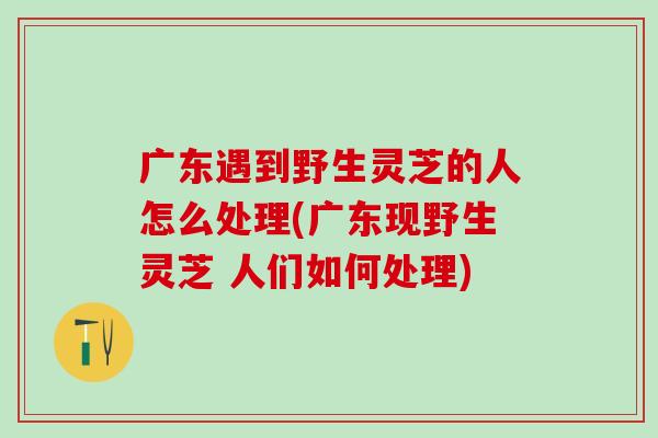 广东遇到野生灵芝的人怎么处理(广东现野生灵芝 人们如何处理)