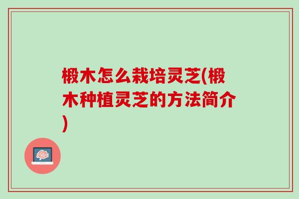 椴木怎么栽培灵芝(椴木种植灵芝的方法简介)