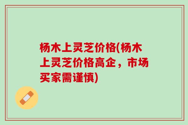 杨木上灵芝价格(杨木上灵芝价格高企，市场买家需谨慎)