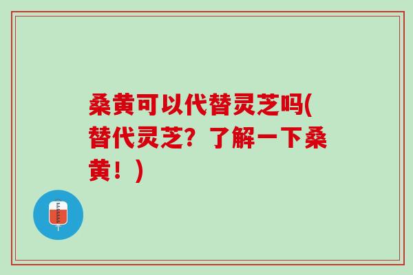 桑黄可以代替灵芝吗(替代灵芝？了解一下桑黄！)