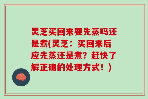 灵芝买回来要先蒸吗还是煮(灵芝:买回来后应先蒸还是煮?赶快了解正确的处理方式!) 灵芝买回来要先蒸吗还是煮(灵芝:买回来后应先蒸还是煮?赶快了解正确的处理方式!)