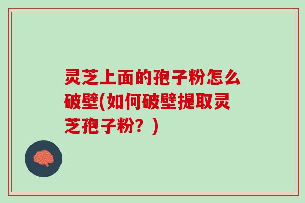 灵芝上面的孢子粉怎么破壁(如何破壁提取灵芝孢子粉?) 灵芝上面的孢子粉怎么破壁(如何破壁提取灵芝孢子粉?)