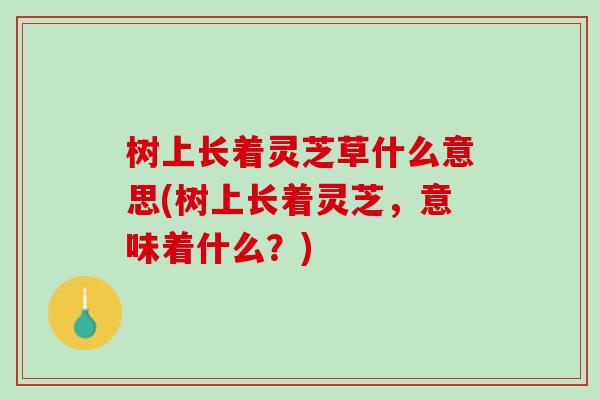 树上长着灵芝草什么意思(树上长着灵芝，意味着什么？)
