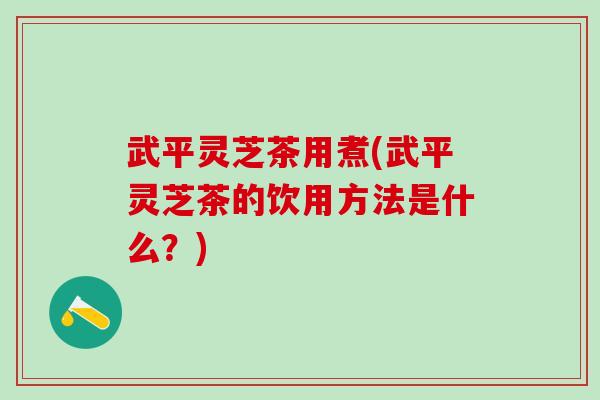 武平灵芝茶用煮(武平灵芝茶的饮用方法是什么？)