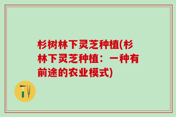 杉树林下灵芝种植(杉林下灵芝种植:一种有前途的农业模式) 杉树林下灵芝种植(杉林下灵芝种植:一种有前途的农业模式)