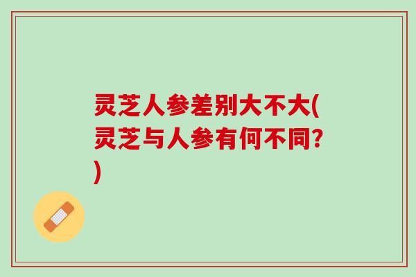 灵芝人参差别大不大(灵芝与人参有何不同?) 灵芝人参差别大不大(灵芝与人参有何不同?)