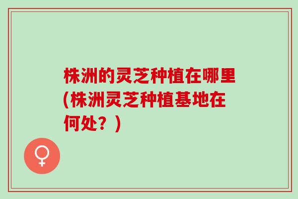 株洲的灵芝种植在哪里(株洲灵芝种植基地在何处?) 株洲的灵芝种植在哪里(株洲灵芝种植基地在何处?)