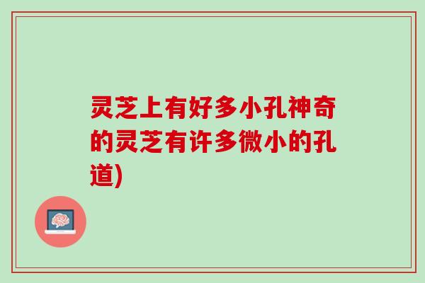灵芝上有好多小孔神奇的灵芝有许多微小的孔道)