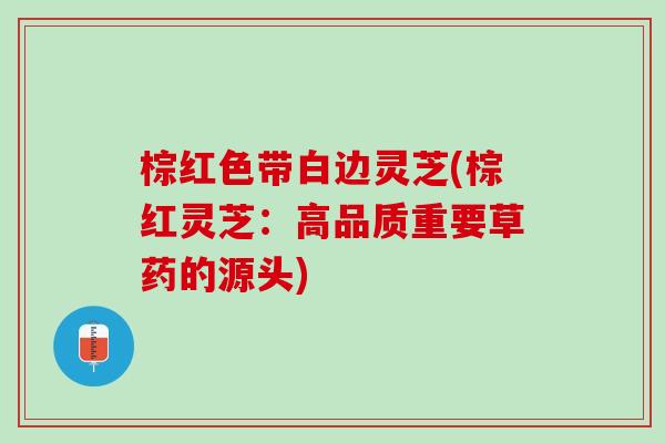 棕红色带白边灵芝(棕红灵芝：高品质重要草药的源头)