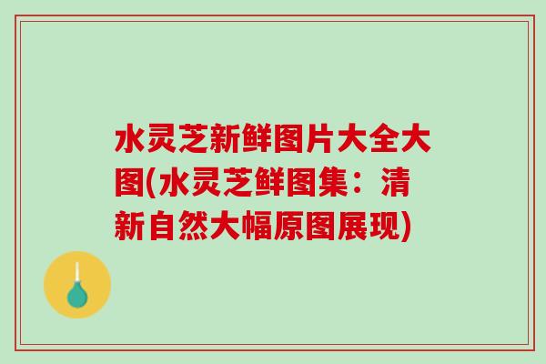 水灵芝新鲜图片大全大图(水灵芝鲜图集：清新自然大幅原图展现)