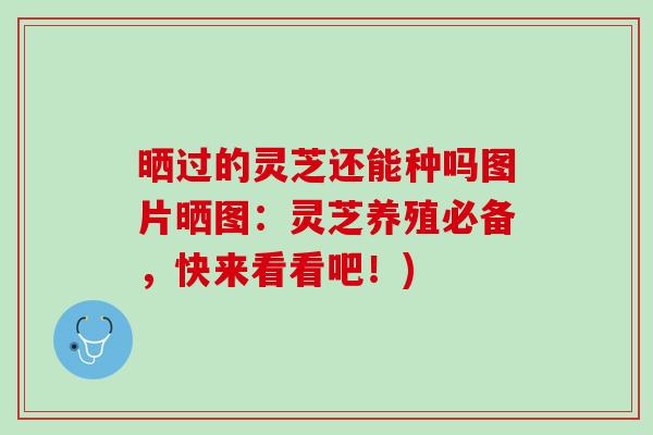 晒过的灵芝还能种吗图片晒图：灵芝养殖必备，快来看看吧！)