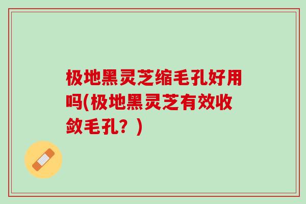 极地黑灵芝缩毛孔好用吗(极地黑灵芝有效收敛毛孔？)