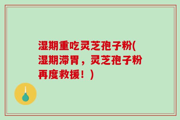 湿期重吃灵芝孢子粉(湿期滞胃，灵芝孢子粉再度救援！)