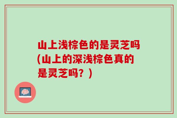 山上浅棕色的是灵芝吗(山上的深浅棕色真的是灵芝吗？)