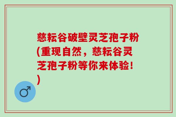 慈耘谷破壁灵芝孢子粉(重现自然，慈耘谷灵芝孢子粉等你来体验！)