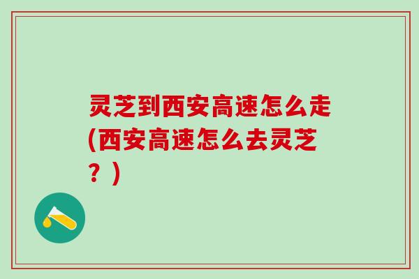 灵芝到西安高速怎么走(西安高速怎么去灵芝？)