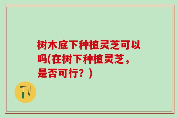 树木底下种植灵芝可以吗(在树下种植灵芝，是否可行？)
