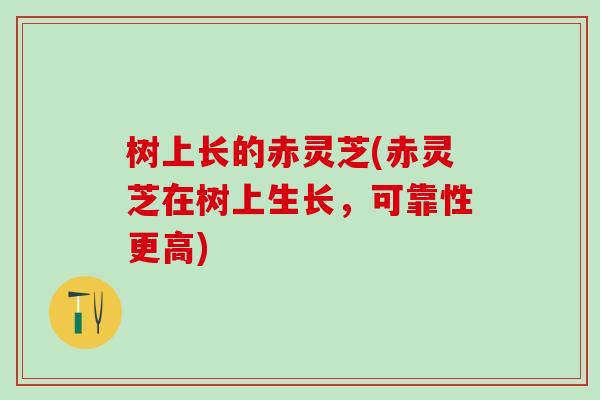 树上长的赤灵芝(赤灵芝在树上生长，可靠性更高)