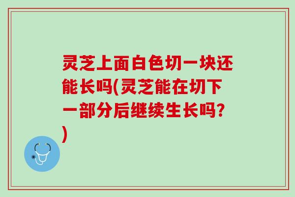 灵芝上面白色切一块还能长吗(灵芝能在切下一部分后继续生长吗？)