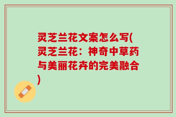 灵芝兰花文案怎么写(灵芝兰花:神奇中草药与美丽花卉的完美融合) 灵芝兰花文案怎么写(灵芝兰花:神奇中草药与美丽花卉的完美融合)
