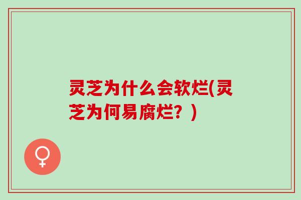 灵芝为什么会软烂(灵芝为何易腐烂？)