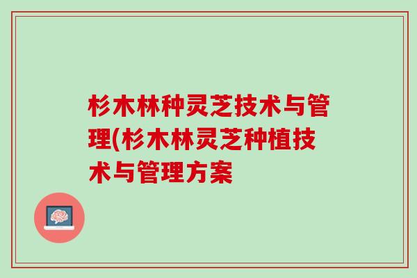 杉木林种灵芝技术与管理(杉木林灵芝种植技术与管理方案