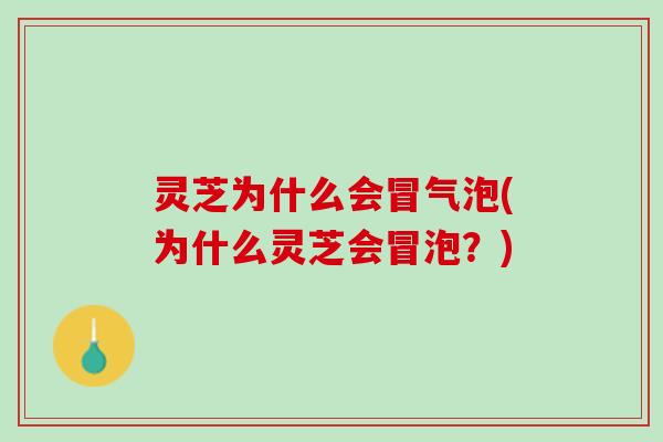灵芝为什么会冒气泡(为什么灵芝会冒泡?) 灵芝为什么会冒气泡(为什么灵芝会冒泡?)