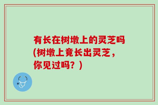 有长在树墩上的灵芝吗(树墩上竟长出灵芝,你见过吗?) 有长在树墩上的灵芝吗(树墩上竟长出灵芝,你见过吗?)
