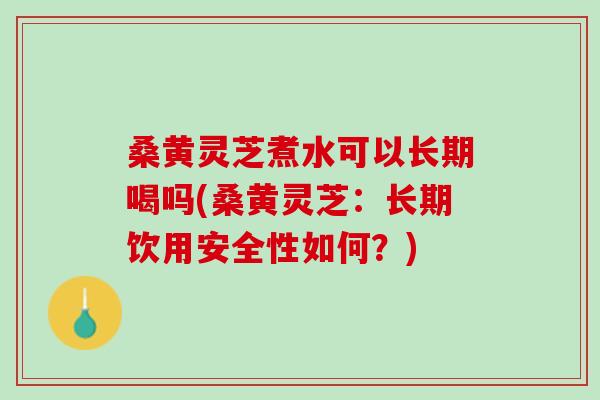 桑黄灵芝煮水可以长期喝吗(桑黄灵芝：长期饮用安全性如何？)