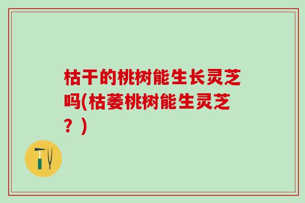 枯干的桃树能生长灵芝吗(枯萎桃树能生灵芝？)