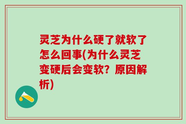 灵芝为什么硬了就软了怎么回事(为什么灵芝变硬后会变软？原因解析)