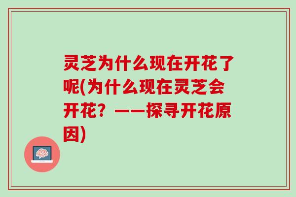 灵芝为什么现在开花了呢(为什么现在灵芝会开花？——探寻开花原因)
