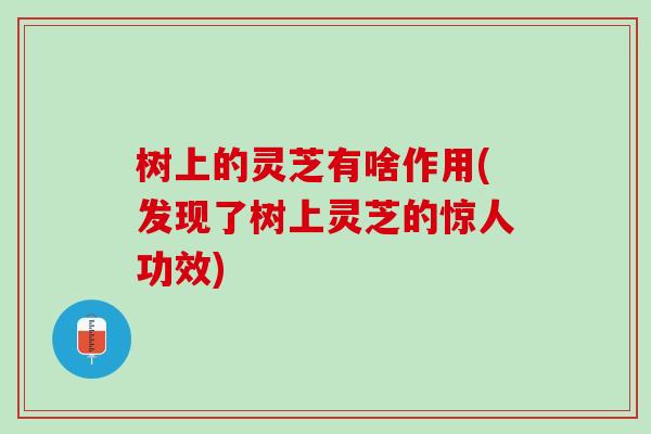 树上的灵芝有啥作用(发现了树上灵芝的惊人功效) 树上的灵芝有啥作用(发现了树上灵芝的惊人功效)