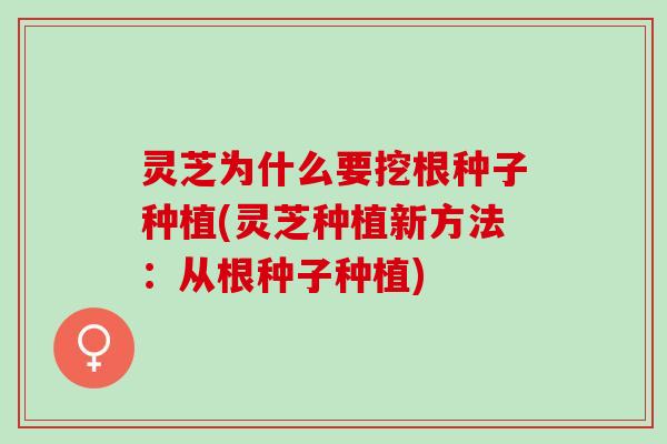灵芝为什么要挖根种子种植(灵芝种植新方法：从根种子种植)