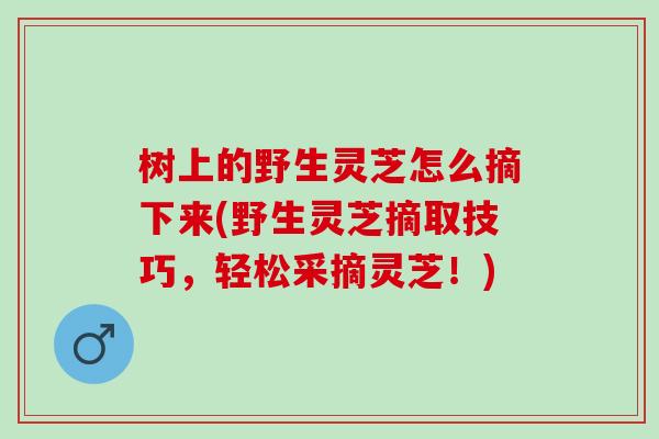 树上的野生灵芝怎么摘下来(野生灵芝摘取技巧，轻松采摘灵芝！)