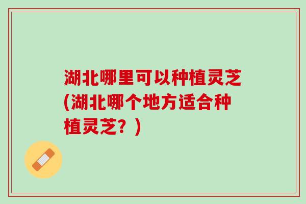 湖北哪里可以种植灵芝(湖北哪个地方适合种植灵芝？)