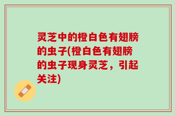 灵芝中的橙白色有翅膀的虫子(橙白色有翅膀的虫子现身灵芝，引起关注)