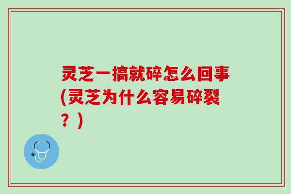 灵芝一搞就碎怎么回事(灵芝为什么容易碎裂？)