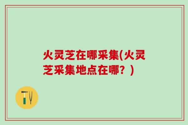 火灵芝在哪采集(火灵芝采集地点在哪？)