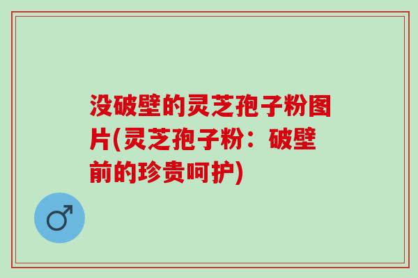 没破壁的灵芝孢子粉图片(灵芝孢子粉：破壁前的珍贵呵护)