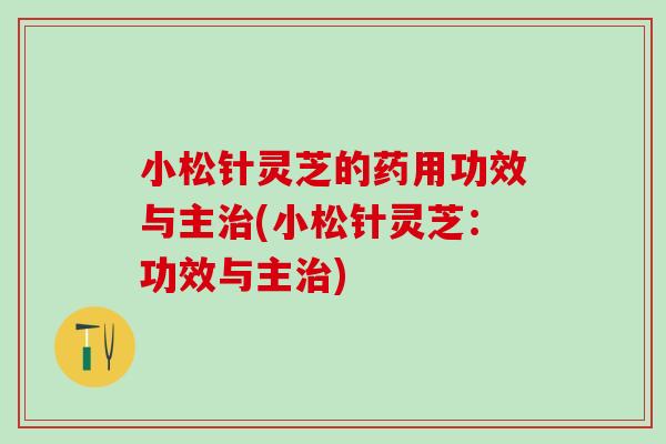 小松针灵芝的药用功效与主治(小松针灵芝：功效与主治)