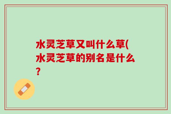 水灵芝草又叫什么草(水灵芝草的别名是什么？