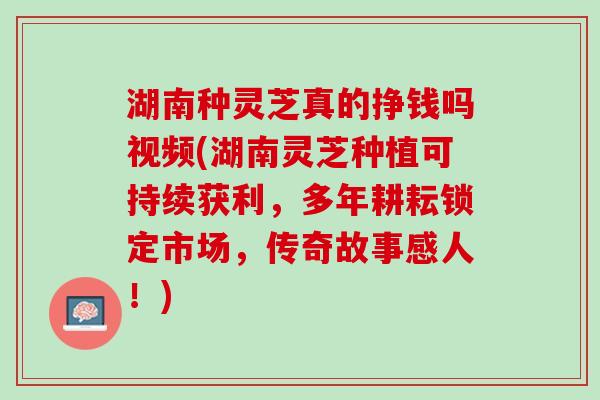 湖南种灵芝真的挣钱吗视频(湖南灵芝种植可持续获利，多年耕耘锁定市场，传奇故事感人！)