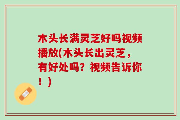 木头长满灵芝好吗视频播放(木头长出灵芝，有好处吗？视频告诉你！)