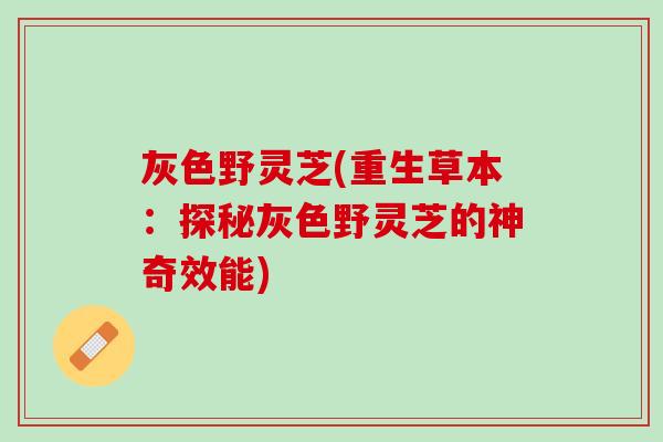 灰色野灵芝(重生草本：探秘灰色野灵芝的神奇效能)