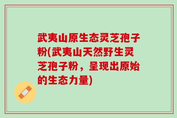 武夷山原生态灵芝孢子粉(武夷山天然野生灵芝孢子粉,呈现出原始的生态力量) 武夷山原生态灵芝孢子粉(武夷山天然野生灵芝孢子粉,呈现出原始的生态力量)