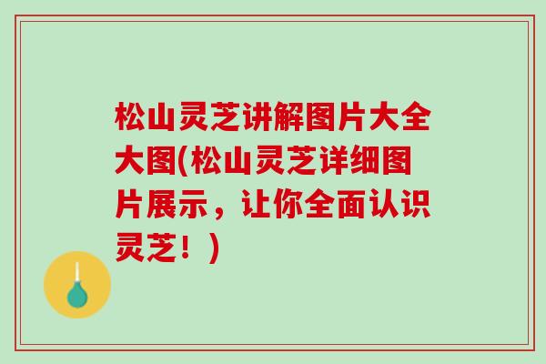 松山灵芝讲解图片大全大图(松山灵芝详细图片展示，让你全面认识灵芝！)