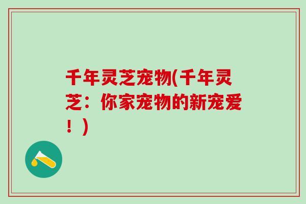 千年灵芝宠物(千年灵芝：你家宠物的新宠爱！)