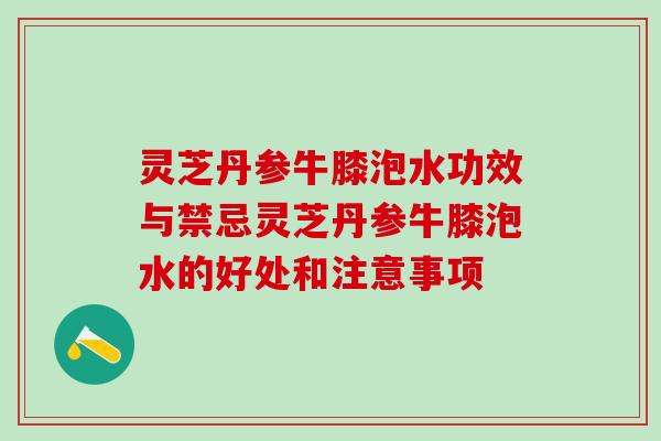 灵芝丹参牛膝泡水功效与禁忌灵芝丹参牛膝泡水的好处和注意事项